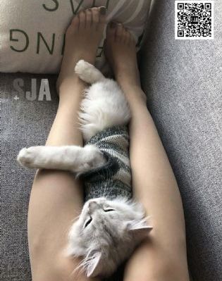 恶之花 在线播放_剧情片免费观看最新