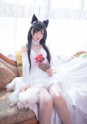 粘豆包电视剧免费观看完整版_BD免费视频大全
